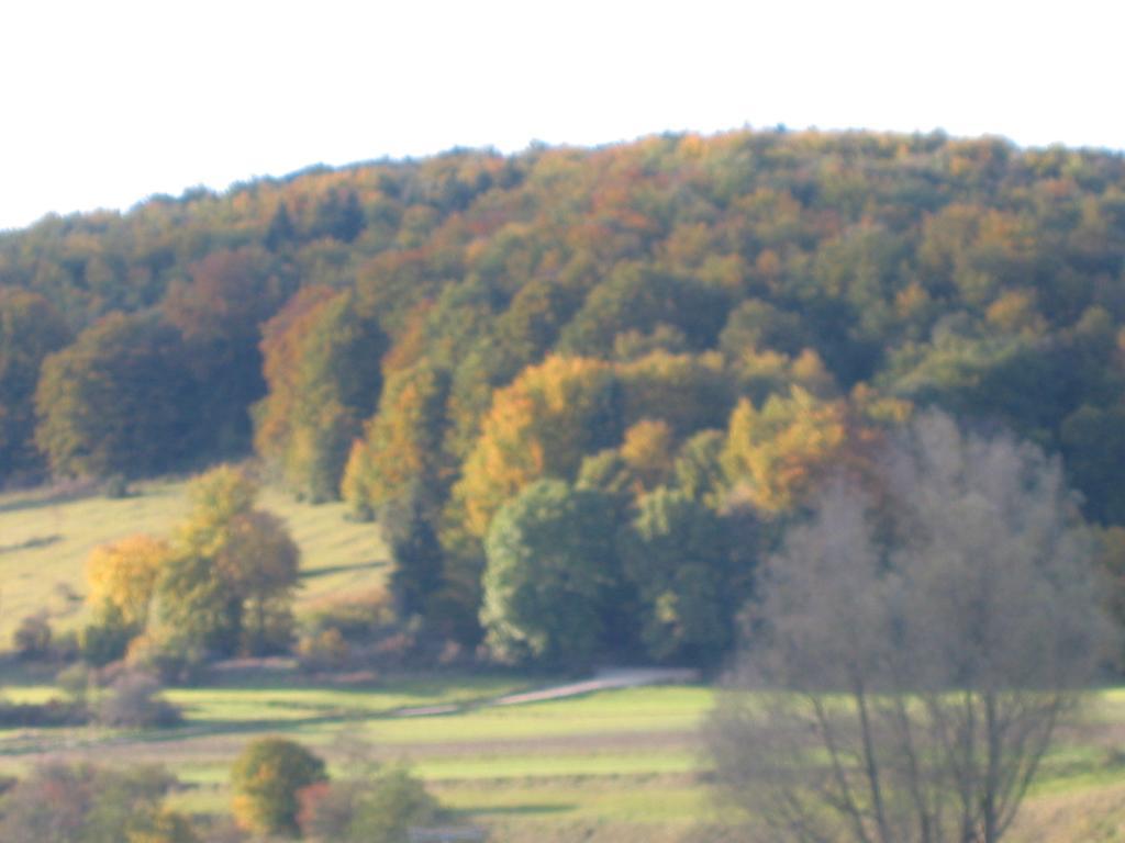 Gasthof Zum Lamm Gomadingen ภายนอก รูปภาพ